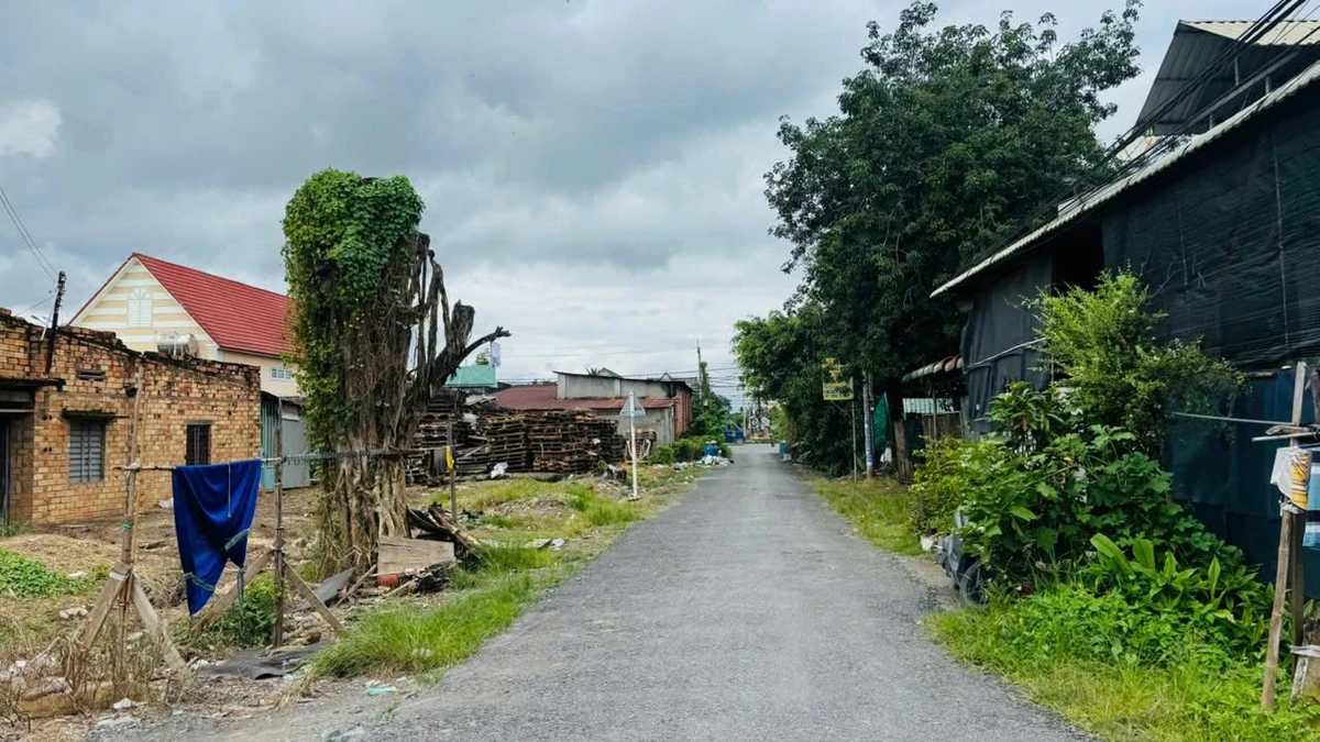 Bán đất thổ cư 200m² Phường Gia Lộc, Bình Dương 1 tỷ 300 - Ảnh thu nhỏ 5