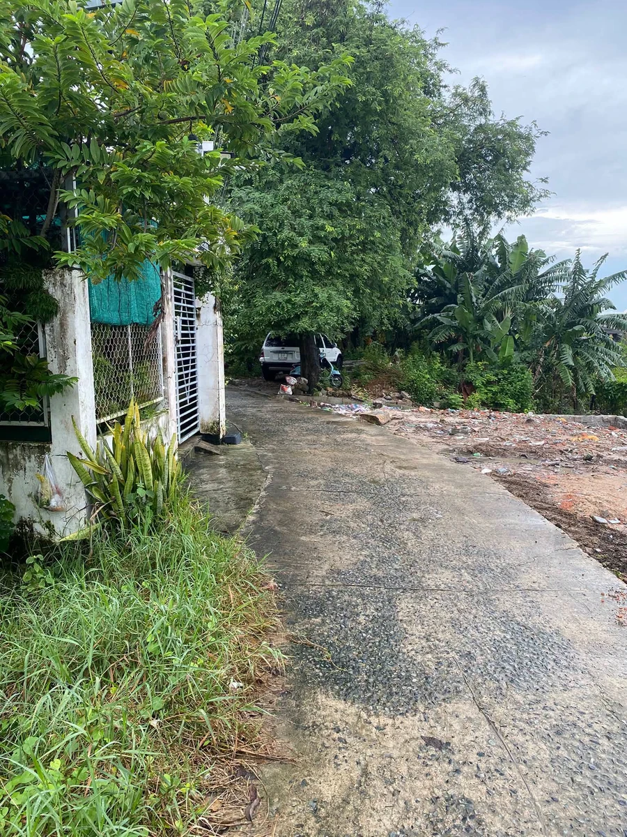 Bán đất Lagi 260m2 gần chợ, giáp Nguyễn Trãi - Ảnh thu nhỏ 3
