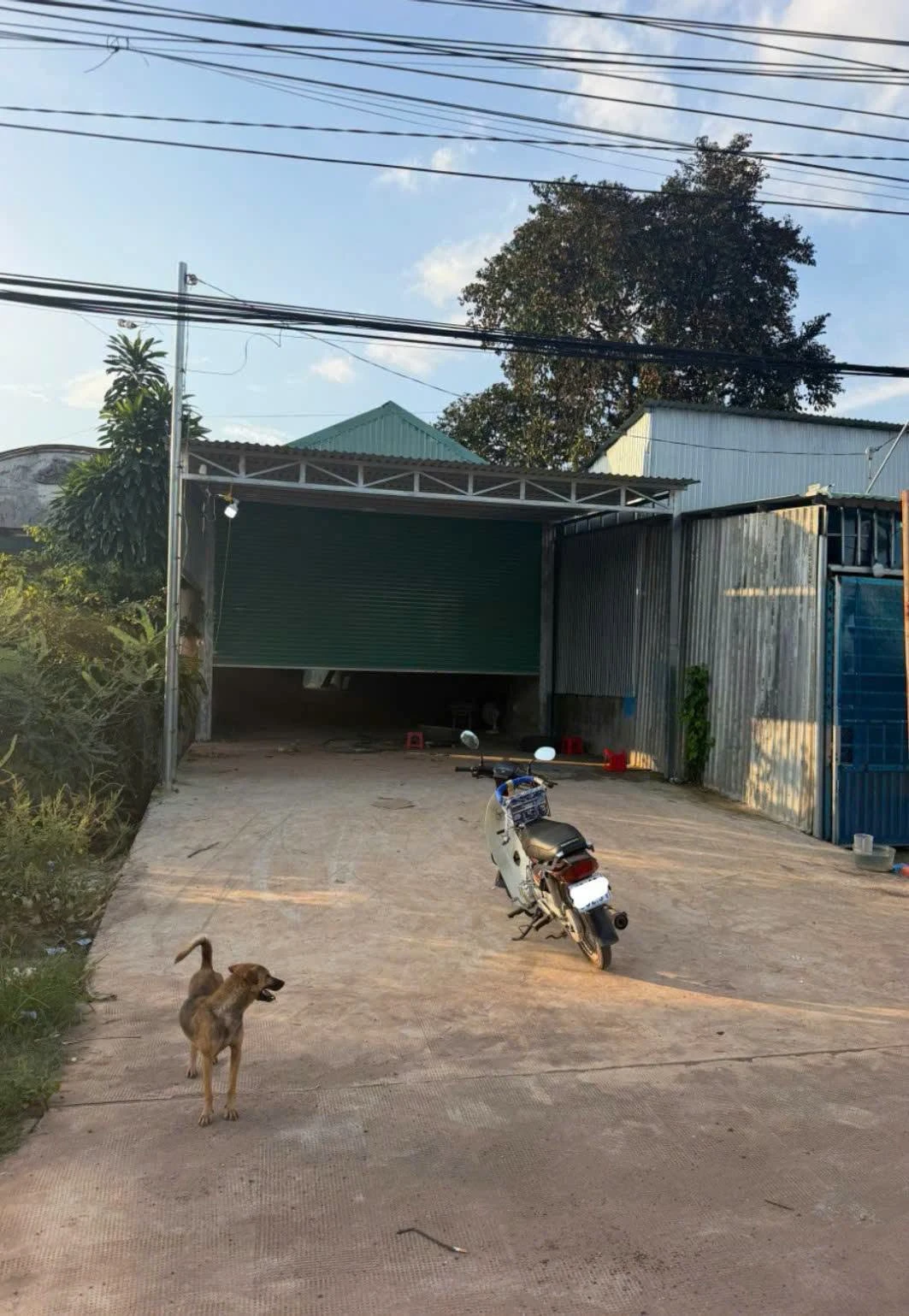 Bán đất mặt tiền Quốc lộ 14 Tân Thành, 73,800m² - Ảnh 1