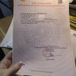 Đất nền dự án Hưng Hóa Tam Nông Phú Thọ, giá chỉ 1,6 tỷ, 85m2, đường vào rộng 24m, tiện xây dựng - Ảnh thu nhỏ 13