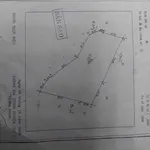 Bán đất nông nghiệp 1,5 hectare Gia Lai 4 tỷ - Ảnh thu nhỏ 1