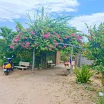 Bán nhà vườn Long Bình Phan Rang Khánh Hòa 4300m2 5 tỷ - Ảnh thu nhỏ 3