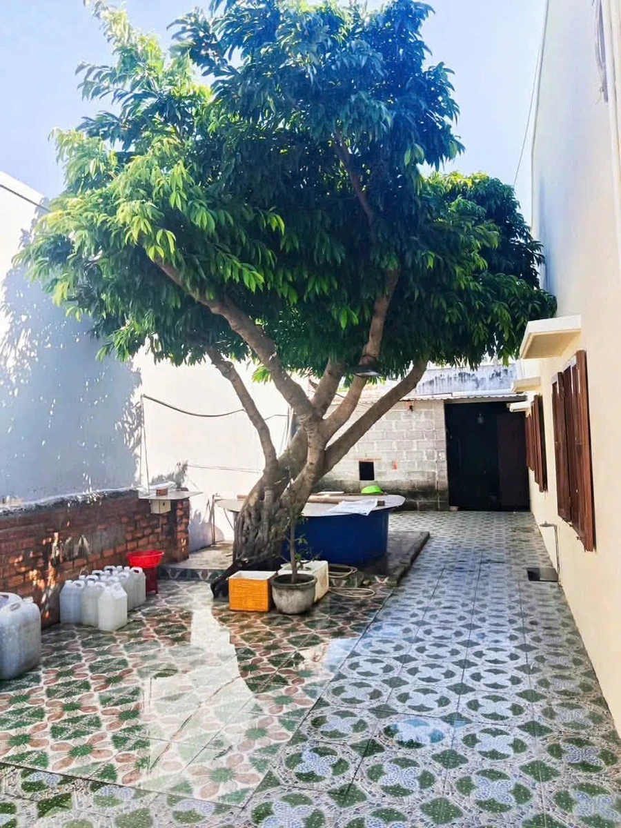 Bán nhà cấp 4 mặt tiền 216m² Phan Thiết, Bình Thuận - Ảnh thu nhỏ 3