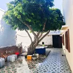 Bán nhà cấp 4 mặt tiền 216m² Phan Thiết, Bình Thuận - Ảnh thu nhỏ 3