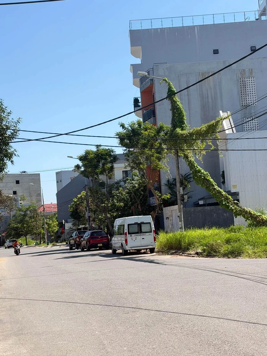 Bán đất 109m2 Nam Việt Á Đà Nẵng 8,9 tỷ - Ảnh thu nhỏ 4
