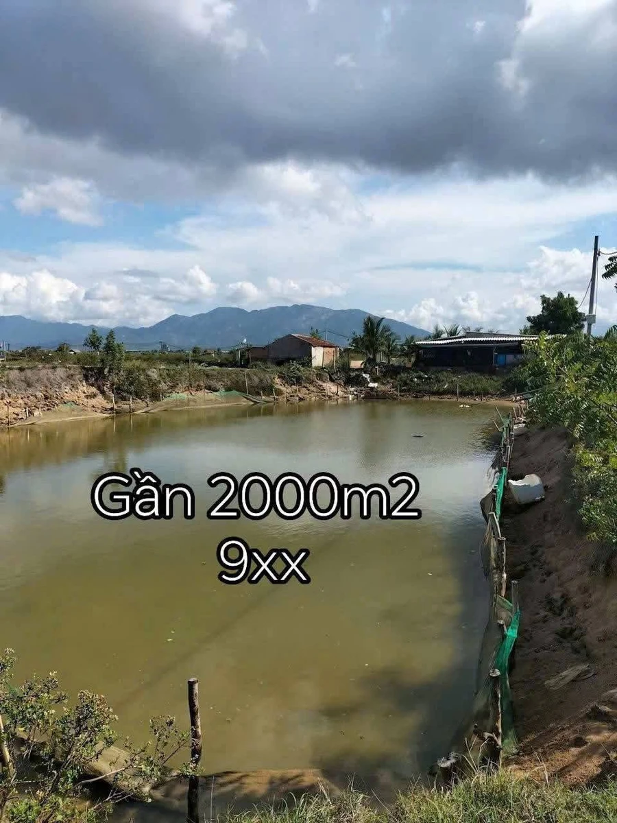 Bán đất nuôi trồng thủy sản 2000m² gần KCN Dốc Đá Trắng - Ảnh thu nhỏ 2