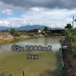 Bán đất nuôi trồng thủy sản 2000m² gần KCN Dốc Đá Trắng - Ảnh thu nhỏ 2