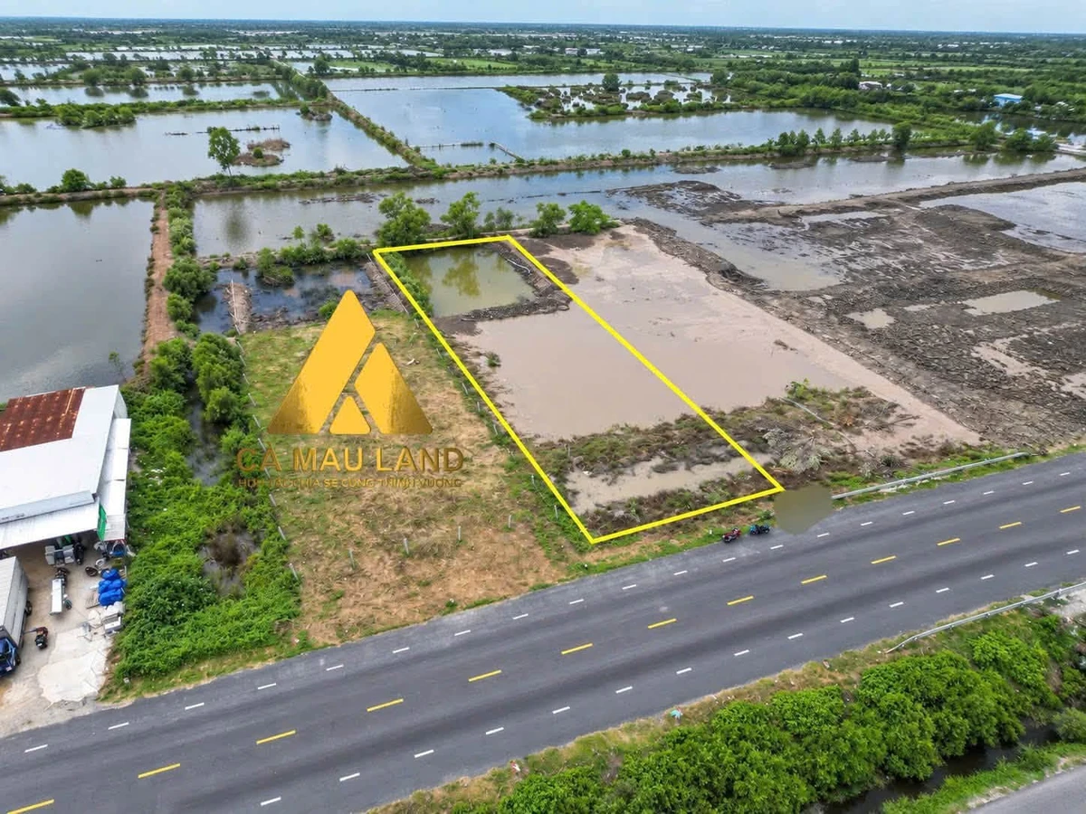 Bán đất nền 1300m² Quốc Lộ 1A, Cà Mau 2 tỷ - Ảnh thu nhỏ 2