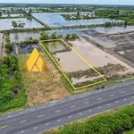 Bán đất nền 1300m² Quốc Lộ 1A, Cà Mau 2 tỷ - Ảnh thu nhỏ 2
