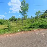 Bán đất 5x33m (165m²) 930 triệu gần Đồi Thông Tân Bình - Ảnh thu nhỏ 4