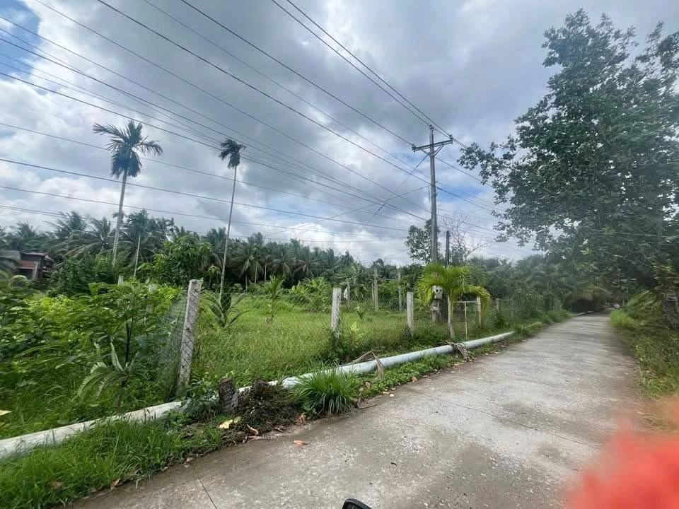 Bán đất Lương Hòa 4000m² mặt tiền nông thôn 800 triệu - Ảnh 1