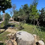 Nhà vườn Song Phương 1.500m² cho thuê 7 triệu/tháng - Ảnh thu nhỏ 3