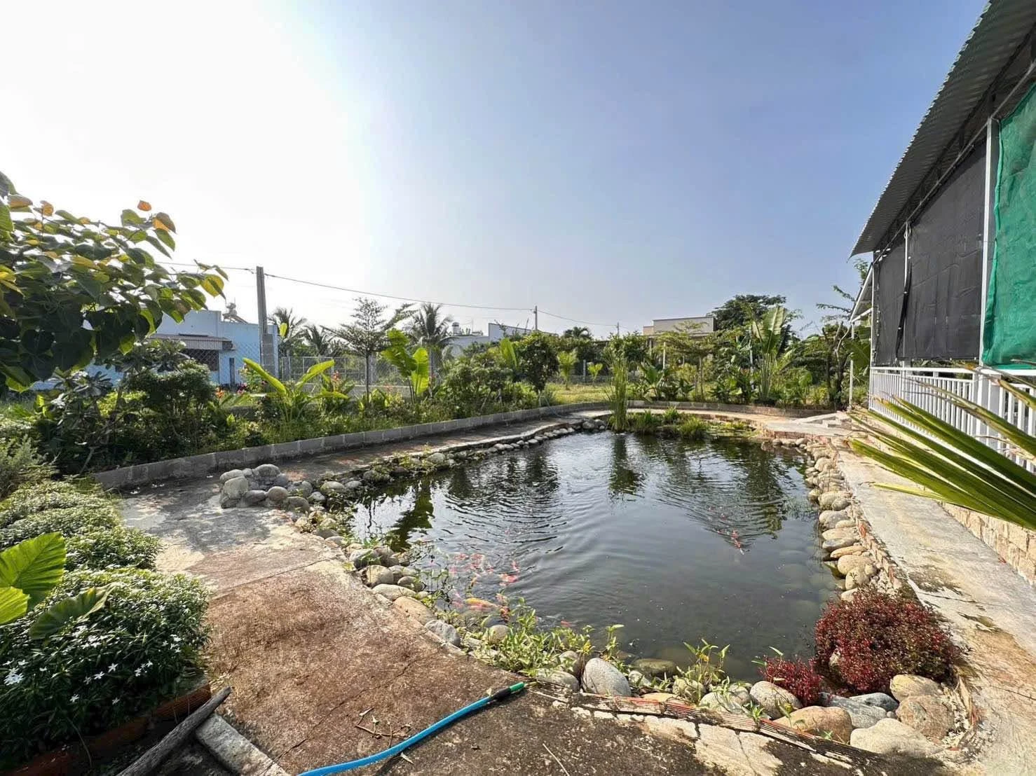 Bán nhà vườn 445m² 2 mặt tiền Phường Bình Thuận - Ảnh 1