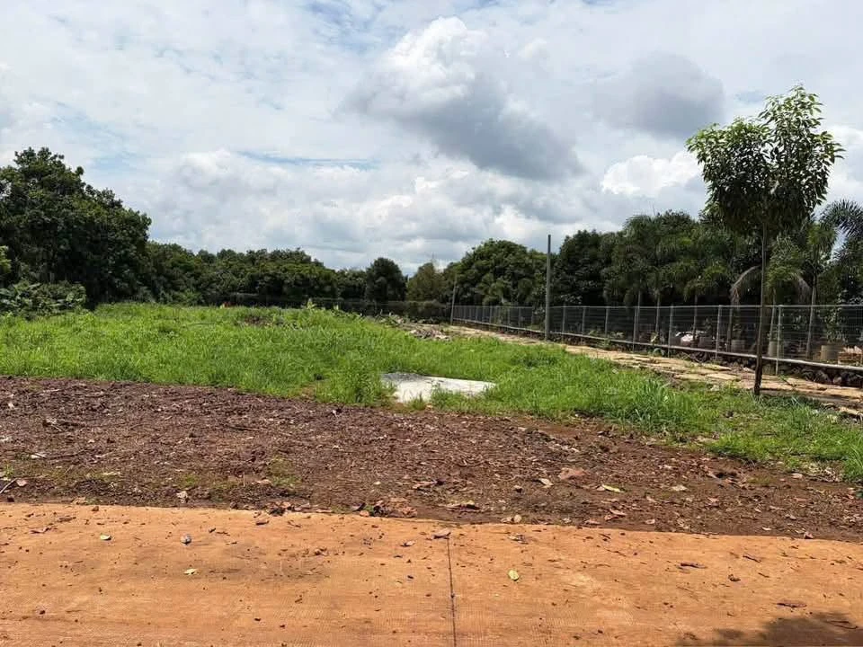 Bán đất thổ cư 125m² Phường Bàu Sen - Ảnh thu nhỏ 2