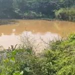 Bán vườn cà phê 3 hecta Tân Lâm, Di Linh, Lâm Đồng - Ảnh thu nhỏ 3