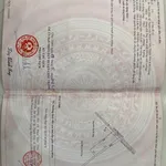Bán 41 công ruộng Cần Giờ, giá 160 triệu/công - Ảnh thu nhỏ 4
