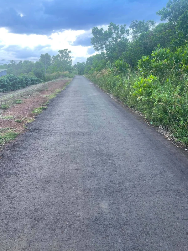 Bán đất 8 xào Quảng Trực, Lâm Đồng