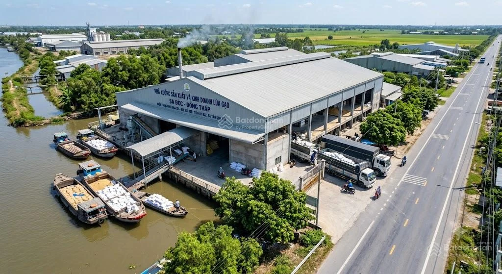 Bán gấp nhà xưởng mặt tiền đường Tỉnh 852 & mặt sông Sa Đéc, trung tâm lúa gạo Miền Tây - Ảnh thu nhỏ 4