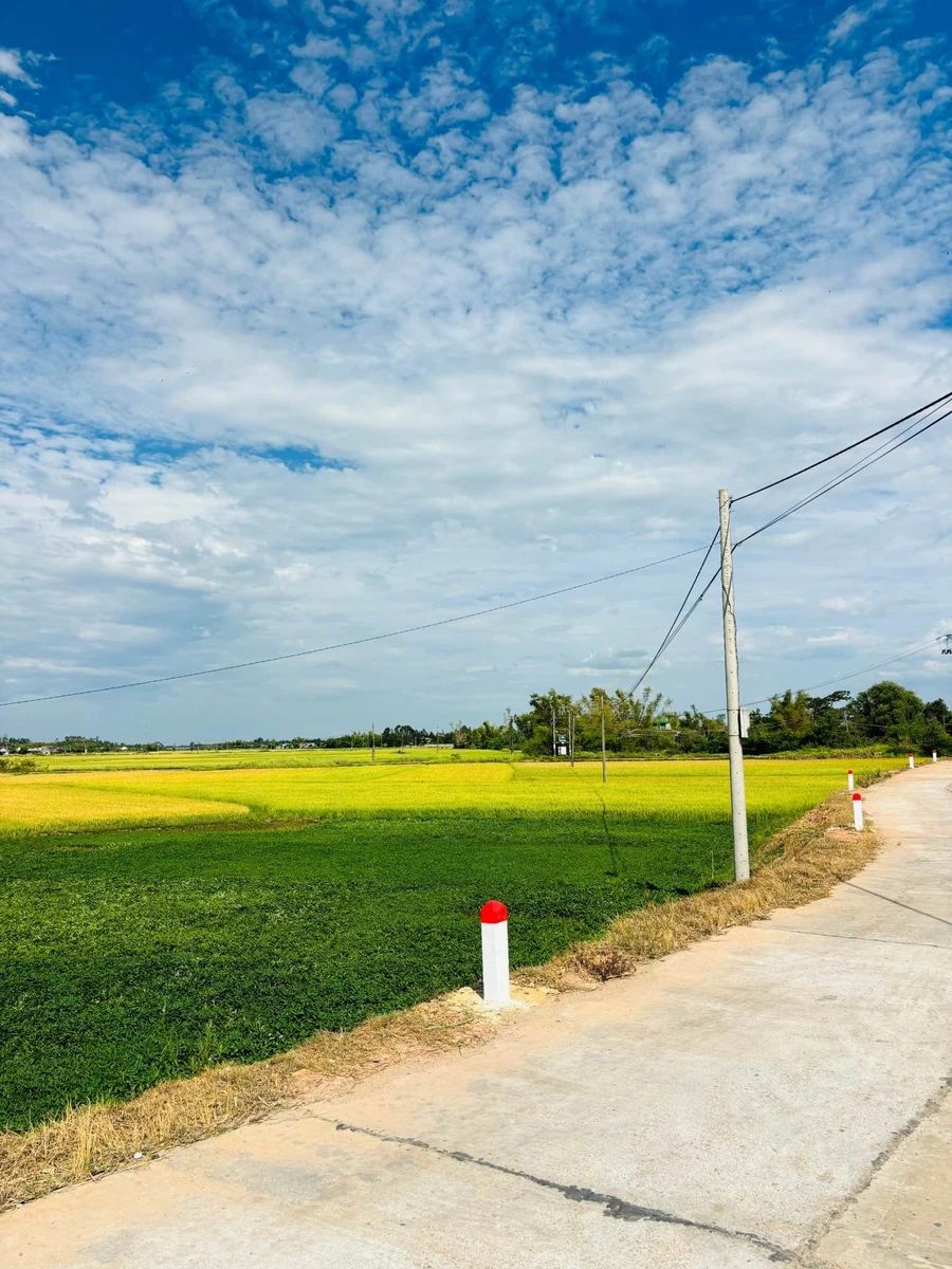 Bán lô đất 220m2 khu dân cư Nhơn Mỹ An Nhơn 680 triệu - Ảnh thu nhỏ 5