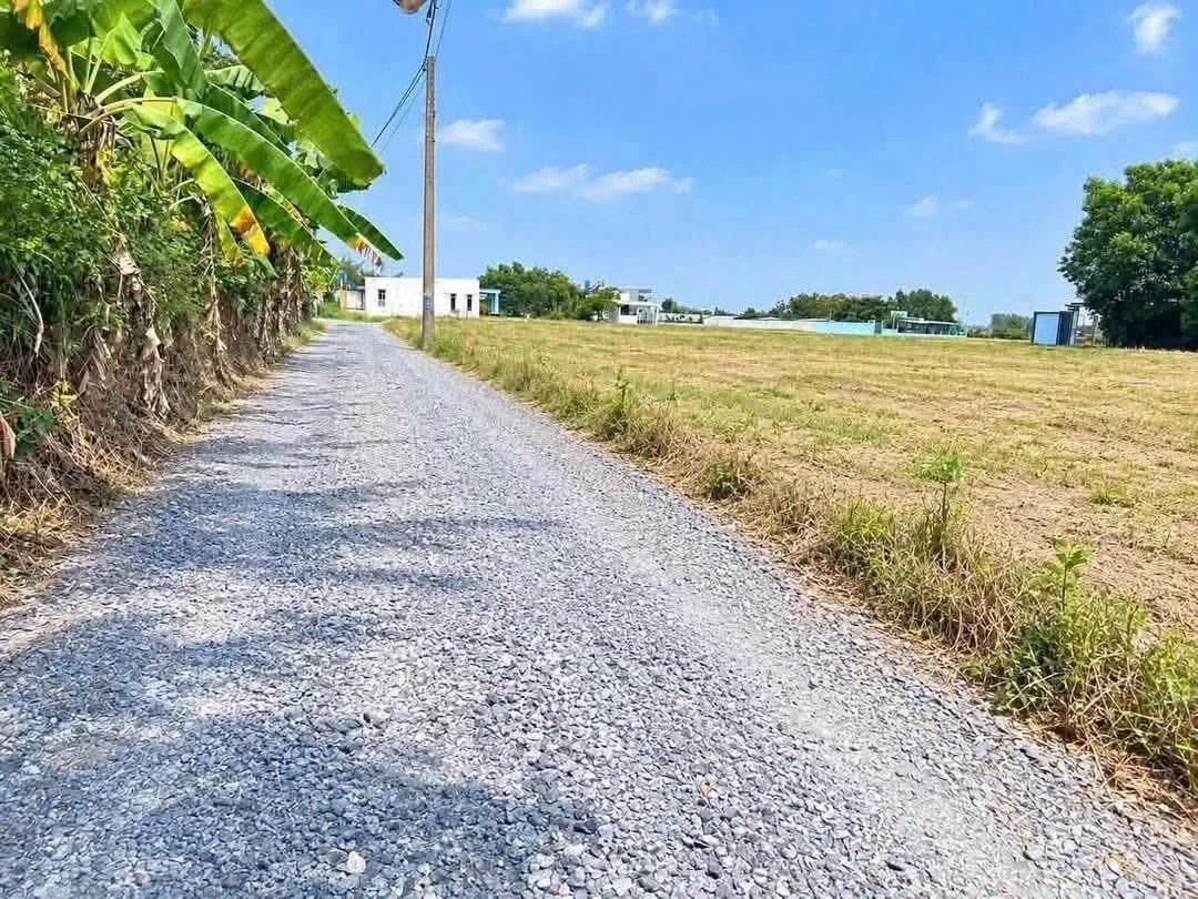 Bán đất 105m² đường Bêtông Bàu Sen 620 triệu - Ảnh thu nhỏ 3