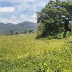 Bán đất Bình Thuận 1188m2 view đẹp 99 triệu - Ảnh thu nhỏ 1