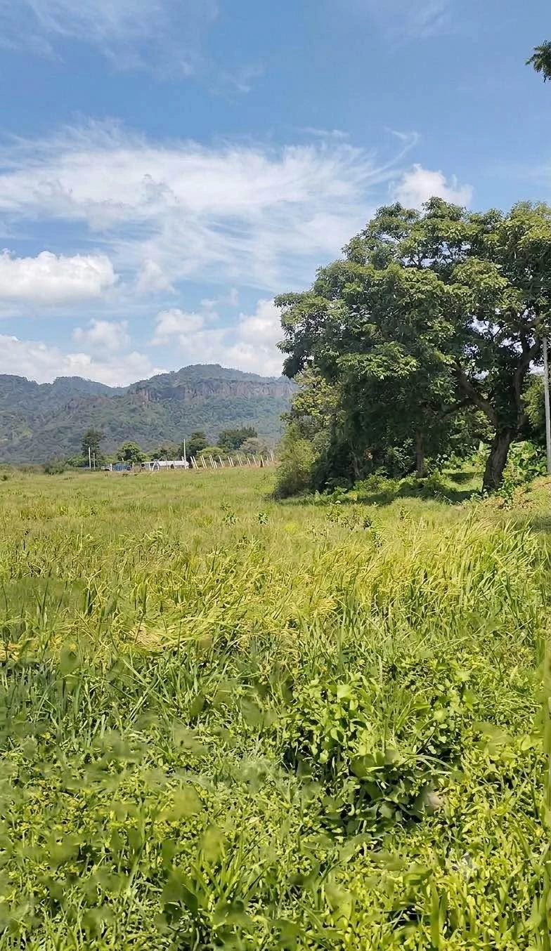 Bán đất Bình Thuận 1188m2 view đẹp 99 triệu - Ảnh 1