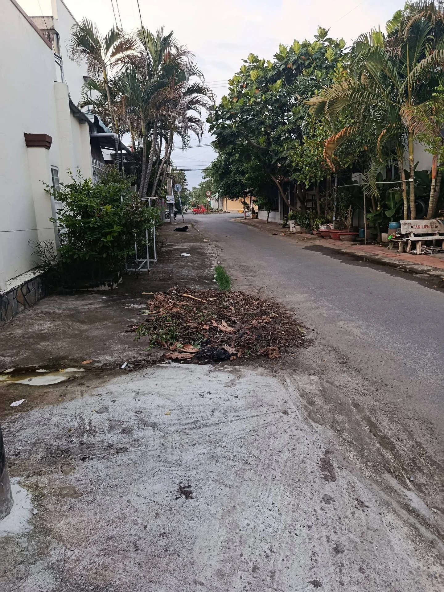 Bán nhà 1 trệt 1 lầu 3PN Trần Phú Long Hoa Tây Ninh 90m² - Ảnh 1
