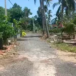 Bán đất 25m x 46m (1150m²) tại Xuân Lộc, Phú Yên - Ảnh thu nhỏ 2