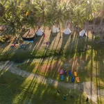 Bán đất 700m² quy hoạch thổ cư Bãi Dừa, Khánh Hòa - Ảnh thu nhỏ 4