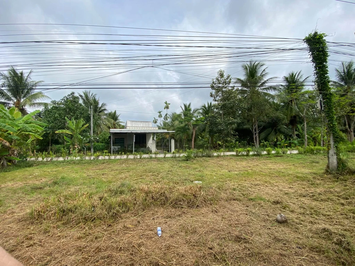Bán đất mặt tiền 1.300m2 Giồng Trôm, Bến Tre - Ảnh 1
