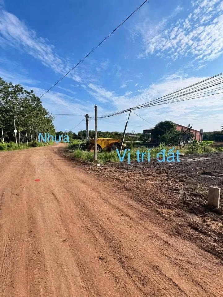 Bán đất nền 5x40m giá 129 triệu/nền tại Thạnh Bình, Tây Ninh - Ảnh 1