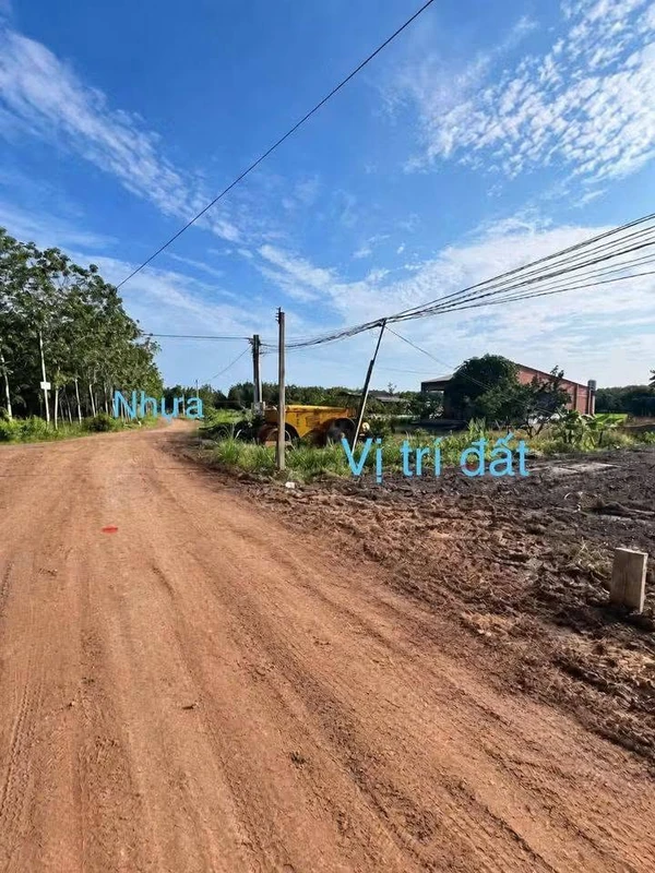 Bán đất nền 5x40m giá 129 triệu/nền tại Thạnh Bình, Tây Ninh