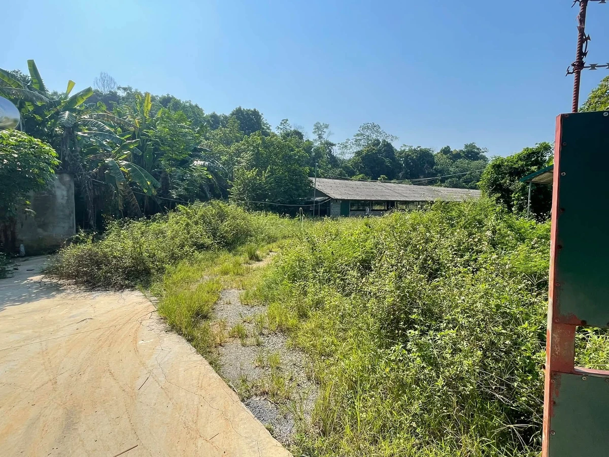 Bán đất chuyển đổi trang trại 3000m² Bạch Thạch Hà Nội - Ảnh thu nhỏ 2