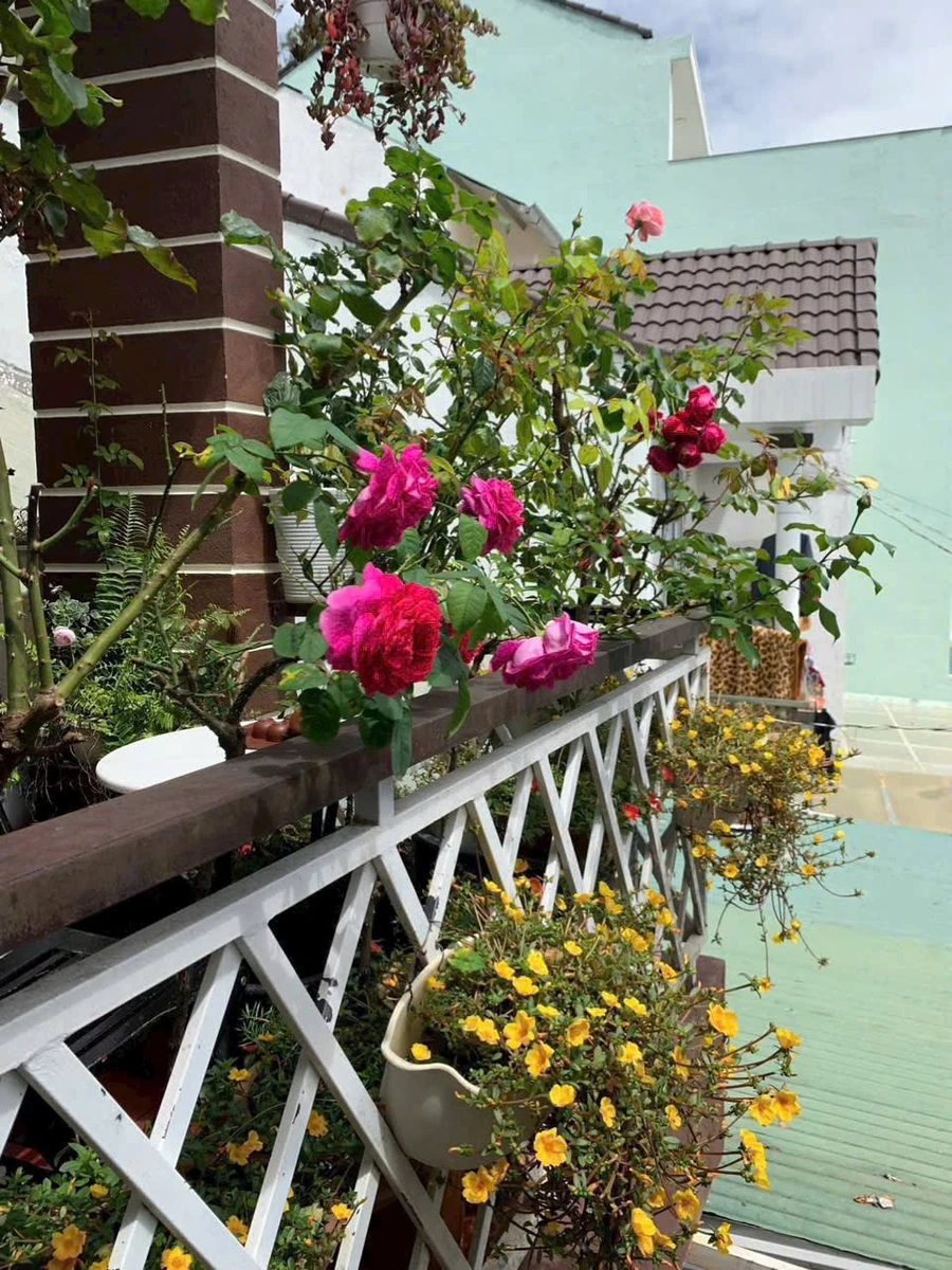 Bán nhà Đà Lạt 91.60m² mặt tiền hẻm Phường 3 giá 5.5 tỷ - Ảnh thu nhỏ 3
