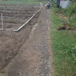 Bán lô đất Tân Điền 1900 m² Tây Ninh 2,9 tỷ - Ảnh thu nhỏ 3
