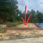 Bán đất 100m2 mặt tiền 4m Hòa Xuân, Đà Nẵng - Ảnh thu nhỏ 4