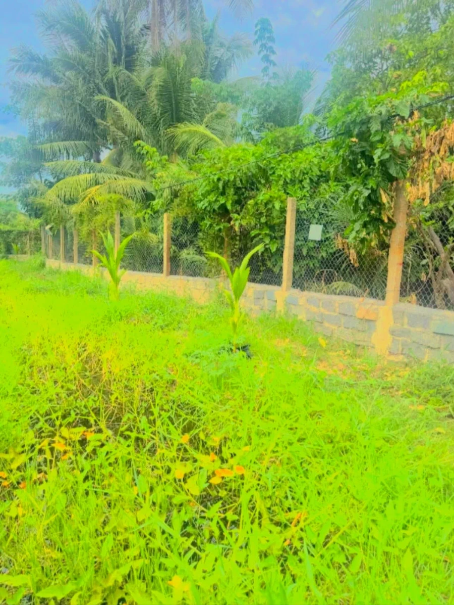 Bán đất Hòn Hèo 164m2 Ninh Hoà - Ảnh thu nhỏ 5