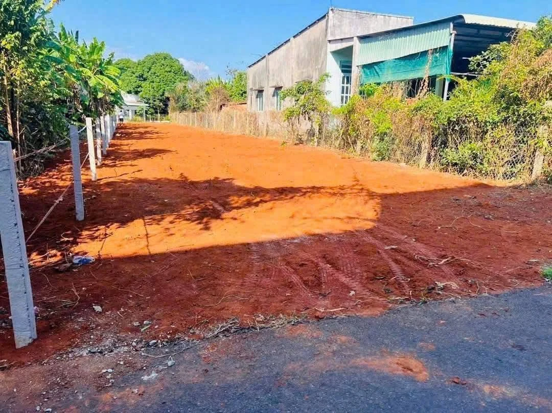 Bán gấp đất vườn 535m² 2 mặt tiền tại Hòa Long, Phường Tam Long, giá 3,2 tỷ - Ảnh thu nhỏ 4