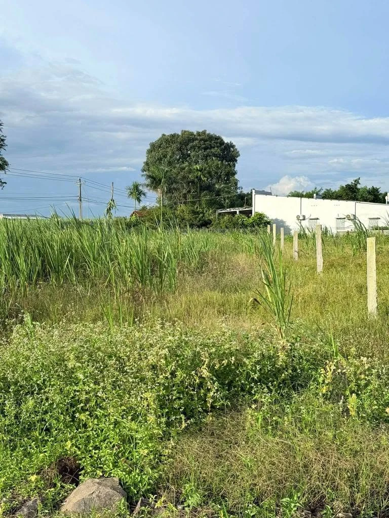 Bán đất Xuân Lộc 140m² sổ riêng 360 triệu - Ảnh thu nhỏ 2