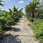 Bán đất tại Phường Mỹ Hòa, thành phố Long Xuyên (nay là phường Long Xuyên), tỉnh An Giang - Ảnh thu nhỏ 3