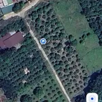 Bán đất thổ cư 161.3m² Suối Tân Cam Lâm sổ sẵn - Ảnh thu nhỏ 1