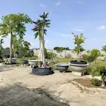 Bán nhà vườn 977m2 sổ riêng tại Hàm Liêm, Bình Thuận - Ảnh thu nhỏ 2