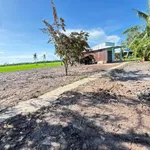 Bán nền đất Cần Giờ 75m² 155 triệu gần Lộ Bàn Tân Định - Ảnh thu nhỏ 2