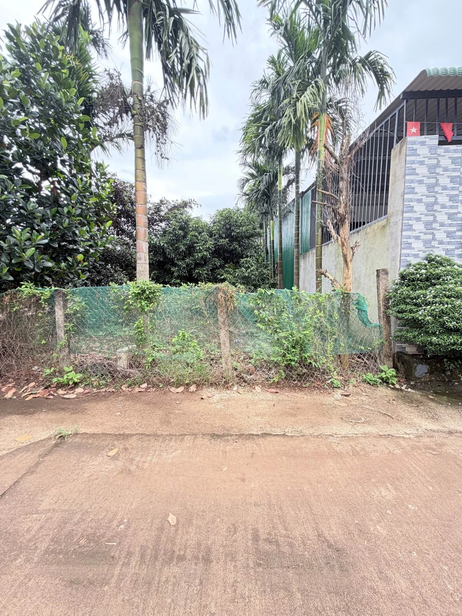 Bán đất 156m² đường Cao Thành - Ảnh 1