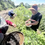 Bán 2,5 sào đất view Bến Mỹ Thuận, 1 tỷ 90 triệu - Ảnh thu nhỏ 5