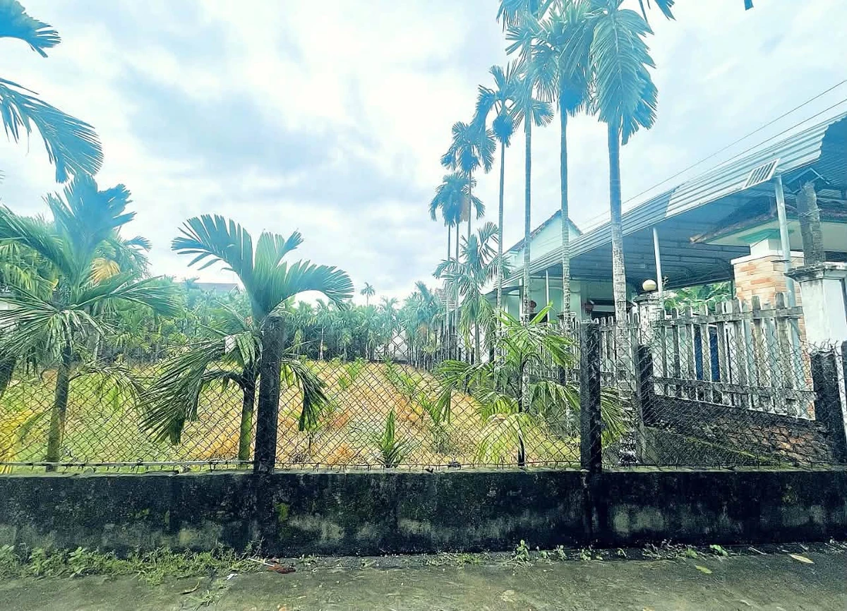 Bán lô đất 112.5m² Ba La, Nhà Bè - Ảnh thu nhỏ 3