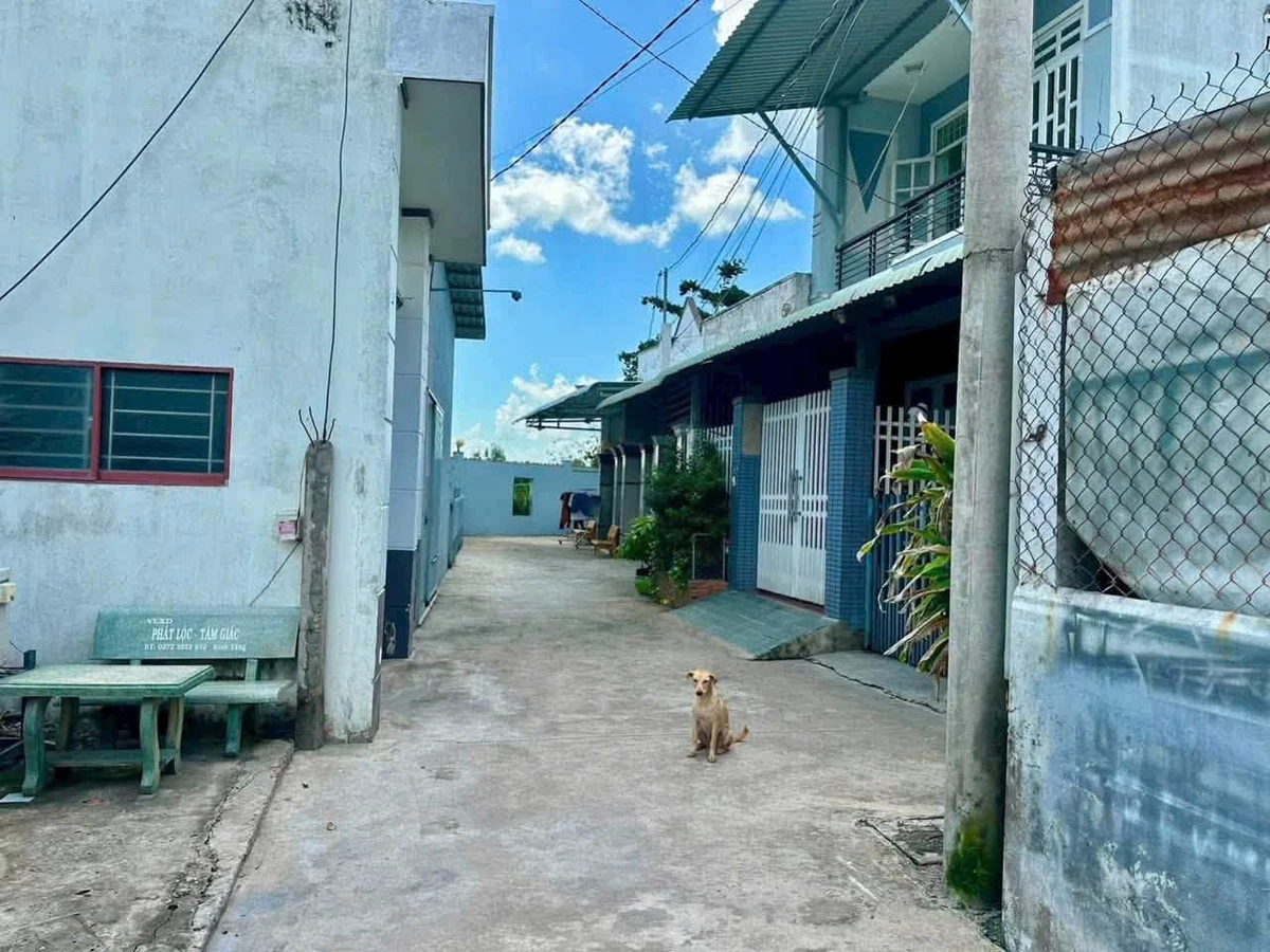 Bán đất thổ cư 108m² hẻm 12 Võ Ngọc Quận, Phường Long An, Tây Ninh giá 1,3 tỷ - Ảnh thu nhỏ 3