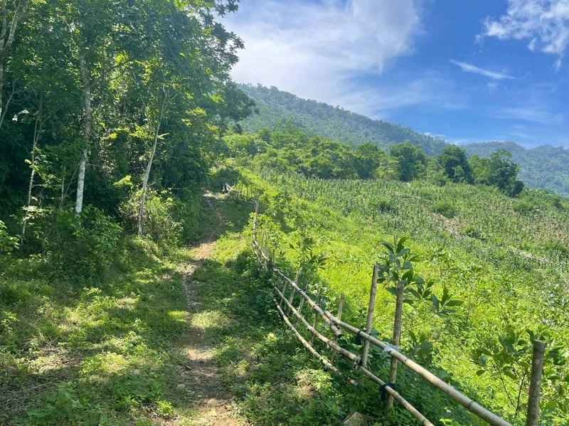 Bán đất nông nghiệp 1,8 ha Kim Bôi Hòa Bình giá 200 triệu