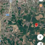 Bán đất Hóc Môn 1.6 hectare 5 tỷ - Ảnh thu nhỏ 1