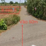 Bán đất Bình Trung 8 sào mặt tiền đường nhựa 400m2 - Ảnh thu nhỏ 2